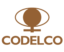 logo_codelco_01